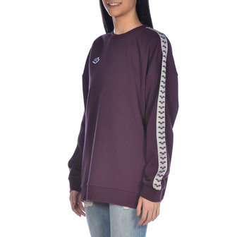 Arena Sweat Team Oversize red-wine-cool-grey L