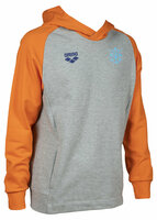 Arena OG Hoodie nederland XXL